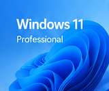 Windows 11 Pro